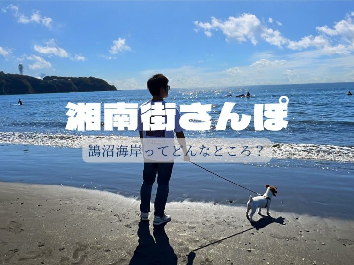 湘南移住した不動産屋の街歩き！鵠沼海岸駅ってどんな所！？
