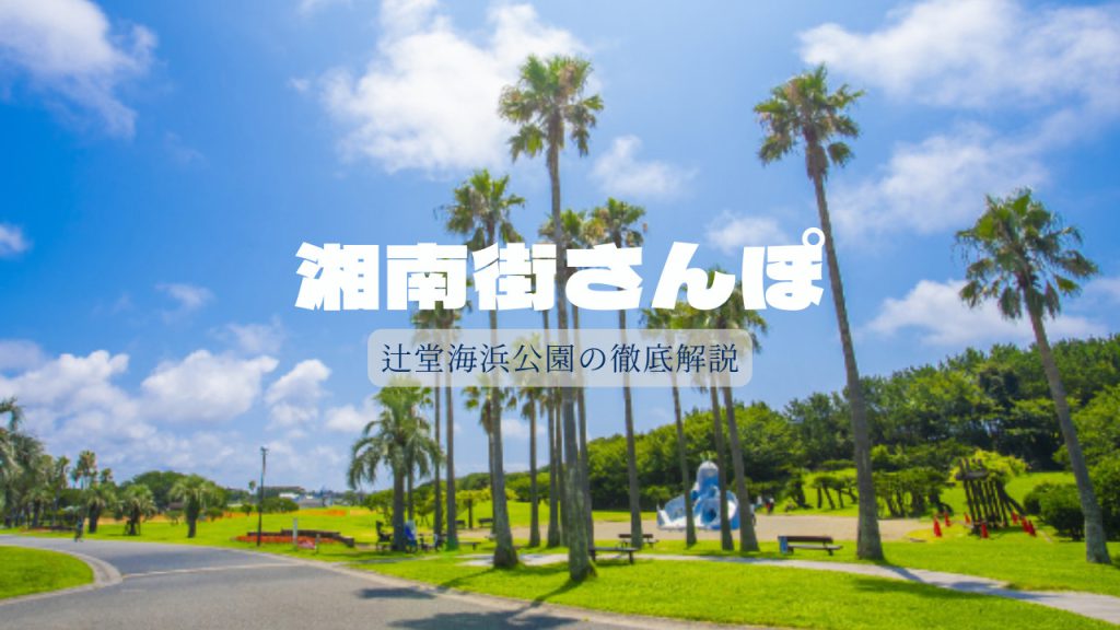 湘南移住した不動産屋の街歩き!辻堂海浜公園を徹底解剖!の画像