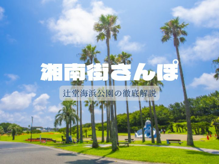 湘南移住した不動産屋の街歩き！辻堂海浜公園を徹底解剖！