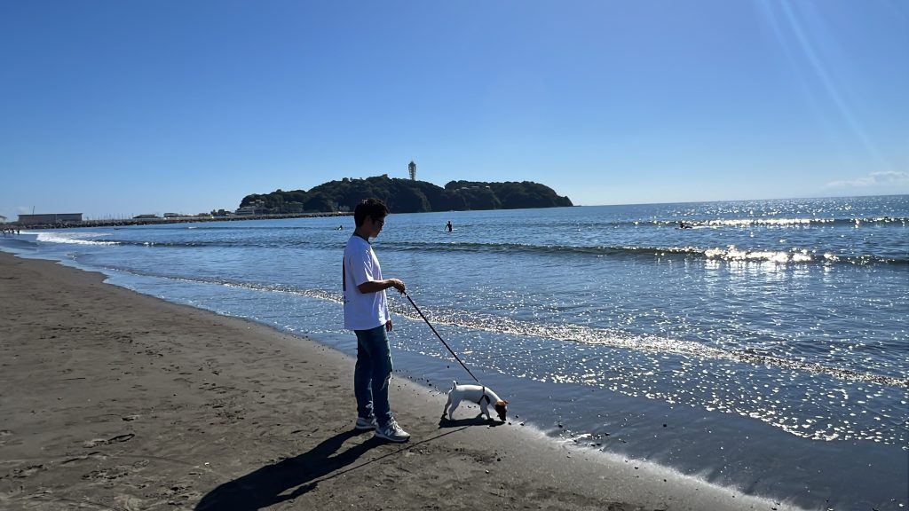 【湘南移住した不動産屋の街さんぽ】湘南の平日朝、そのリアルをお届け