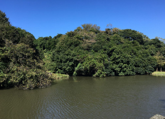 湘南移住で通いたい、鎌倉の穴場カフェ&公園ガイド