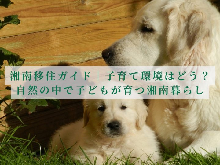 湘南移住で子育てはどう？自然の中で暮らす湘南の子育て環境を解説