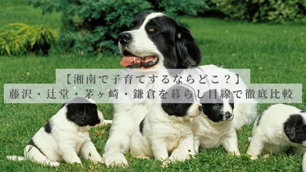 【湘南で子育てするならどこ？】藤沢・辻堂・茅ヶ崎・鎌倉を暮らし目線で徹底比較の画像