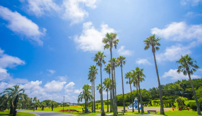 辻堂海浜公園と湘南らしい暮らし