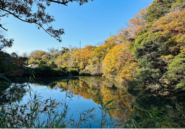 Stay Home, Go Outside.家にいながら、空の下へ。 物件写真 10